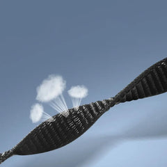 NYLONARMBAND FÜR XIAOMI MI BAND 8 / 9 / NFC HEYBAND NYLON SCHWARZ